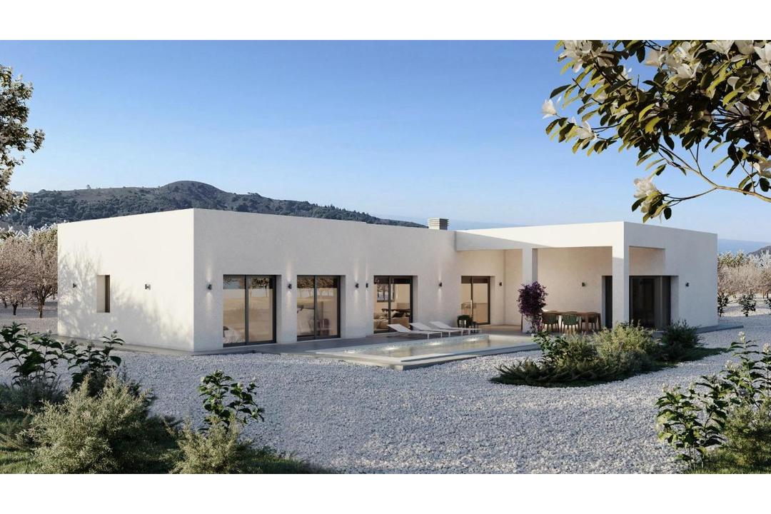 property-for-sale-villa-in-pinoso-spain-30