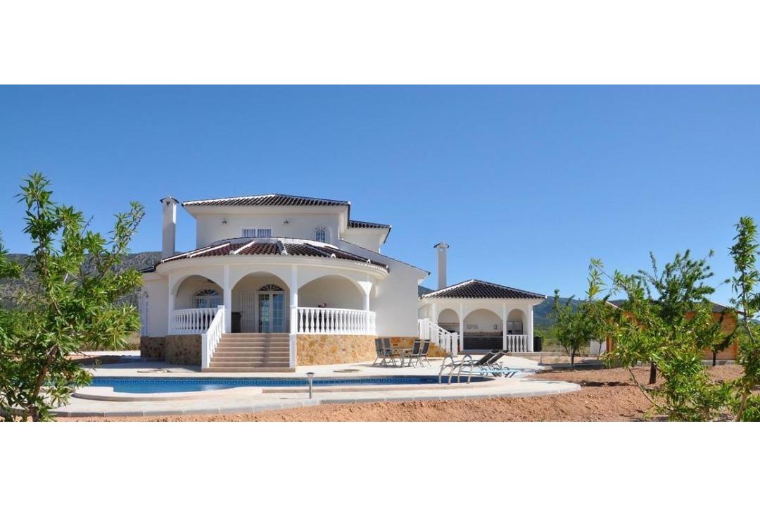 property-for-sale-villa-in-pinoso-spain-31