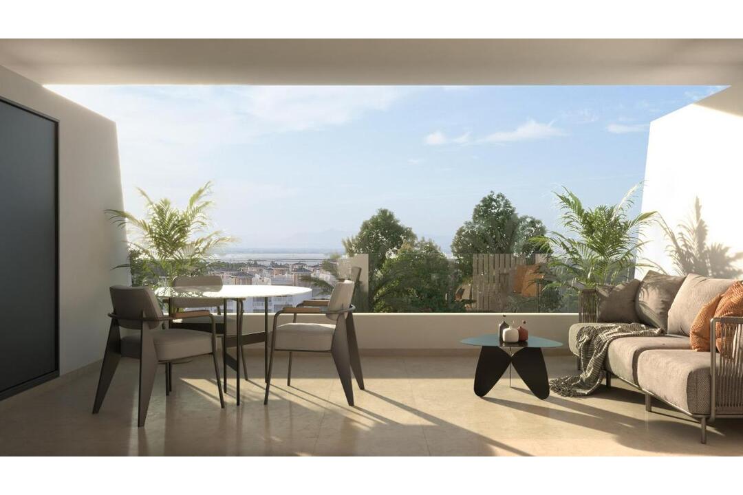 property-for-sale-penthouse-in-la-marina-spain