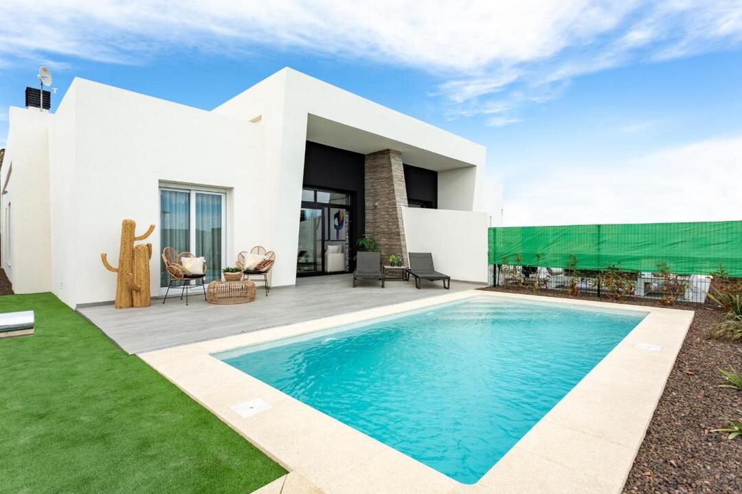property-for-sale-villa-in-algorfa-spain-38